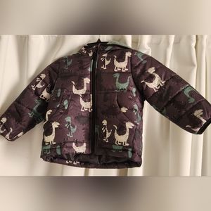 Toddler 3T Winter Coat